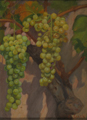 grappoli d'uva