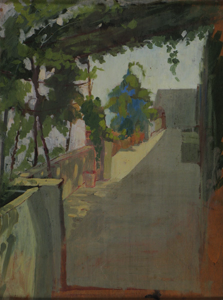 terrazza della casa paterna con pergolato 