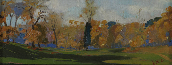 alberi in autunno (villa borghese)