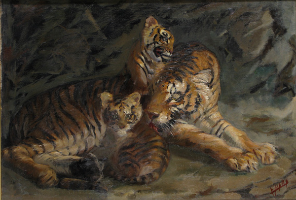 amore materno (tigri al giardino zoologico)