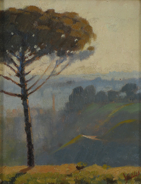 paesaggio visto dall'alto con pino in primo piano