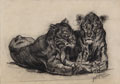 tigri, disegno a carboncino